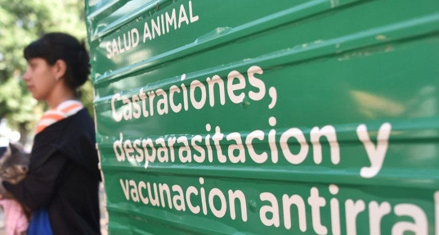 Campaña de castración y vacunación antirrábica llega a la vecinal Centenario