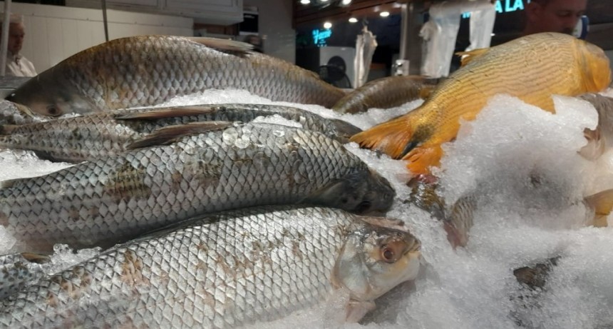 Semana Santa: &iquest;cu&aacute;les son las recomendaciones para consumir pescado adecuadamente?