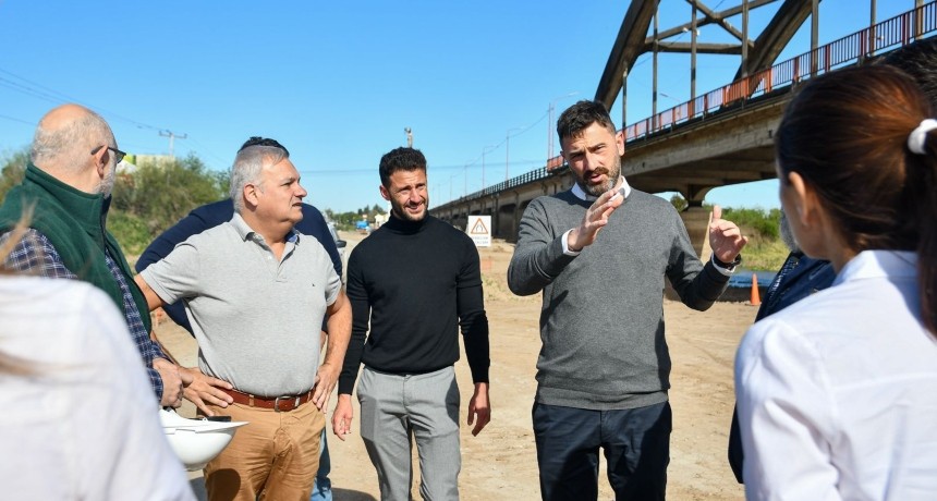 Nuevo puente Santa Fe -Santo Tomé: Provincia salvará más de 600 lapachos 