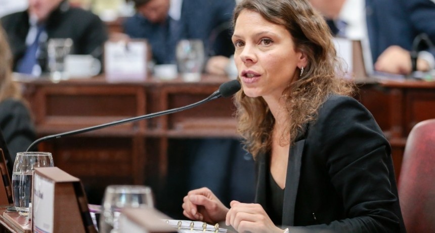 La diputada Gisel Mahmud opin&oacute; sobre una nueva Ley de Educaci&oacute;n